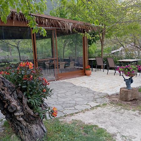 Hotel Xenonas Souliou à Samonída Extérieur photo