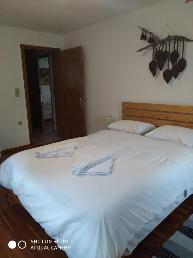 Hotel Xenonas Souliou à Samonída Extérieur photo