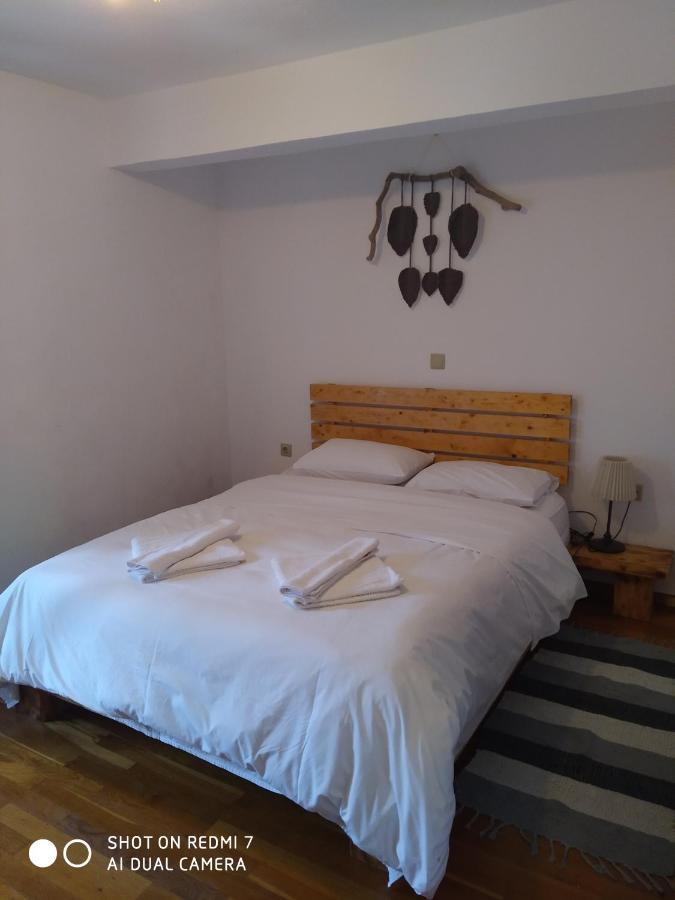 Hotel Xenonas Souliou à Samonída Extérieur photo