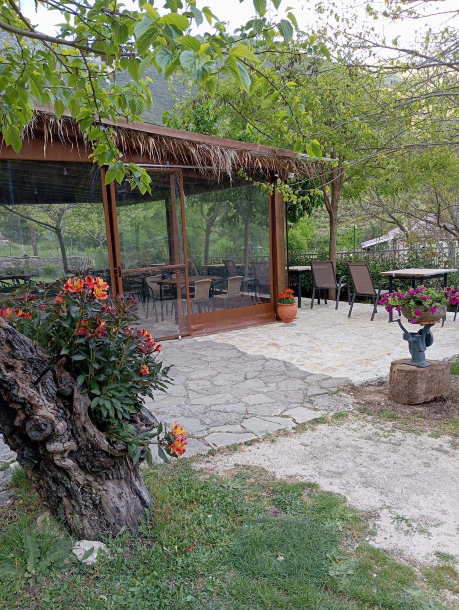 Hotel Xenonas Souliou à Samonída Extérieur photo